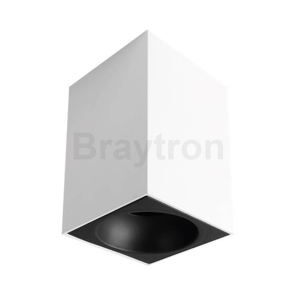 Spot alb 1XGU10 IP 20 BH04-00200